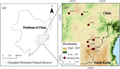 Variations in Concentration and Carbon Isotope Composition of Methanotroph Biomarkers in Sedge Peatlands Along the Altitude Gradient in the Changbai Mountain, China